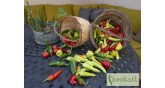 Fasolaki-accommodation-Skopelos-vegetables