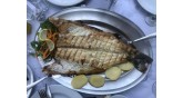 Panos-restaurant-Sithonia-fresh fishes