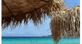 Beach Bar in Trani Ammouda - Agios Nikolaos Halkidiki 