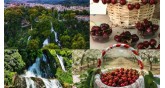 Φεστιβάλ Κερασιού  Έδεσσας 