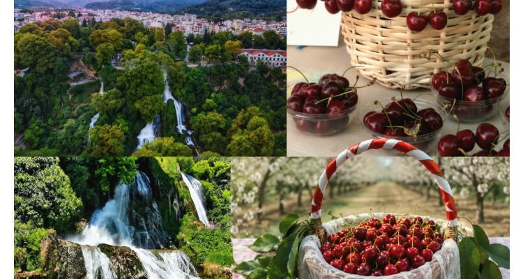 Φεστιβάλ Κερασιού  Έδεσσας 