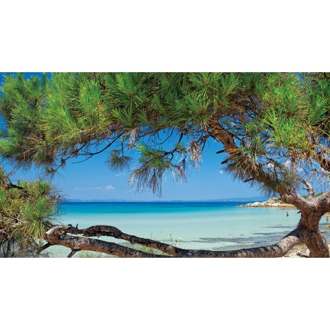 Halkidiki