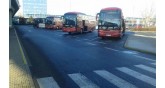 Zorpidis-buses
