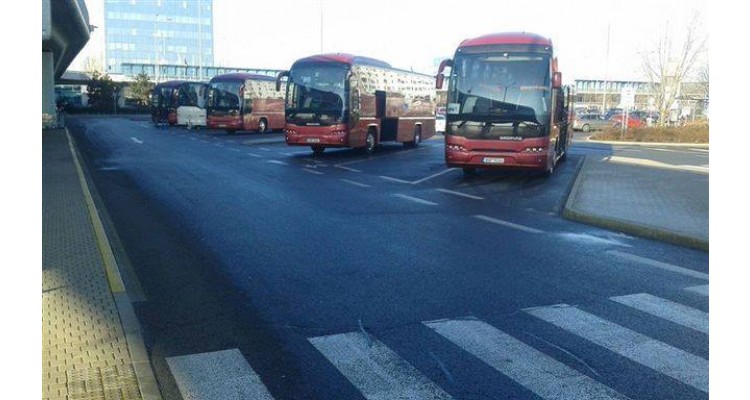 Zorpidis-buses