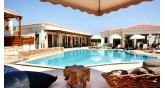 Casa Afytos Suites-Boutique Hotel-Adults Only-Halkidiki