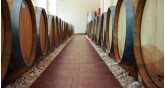 Estate Hatzigeorgiou-winery