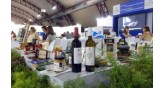 Thessaloniki-International Fair-events