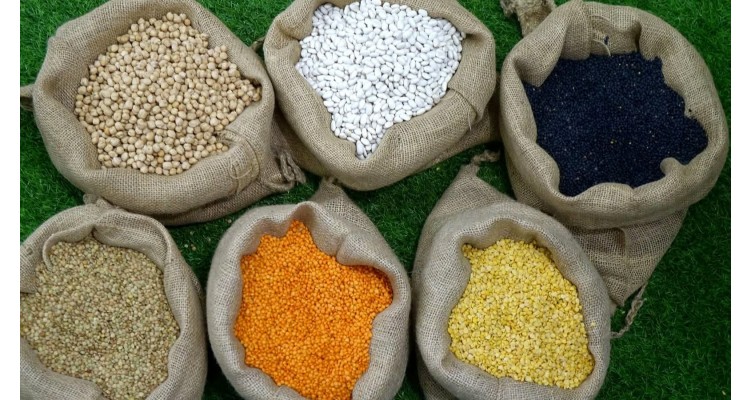 Food and Drinks Expo by Detrop- Διεθνής  Έκθεση Τροφίμων και Ποτών